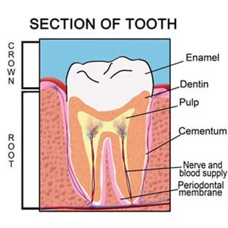 Tooth enamel